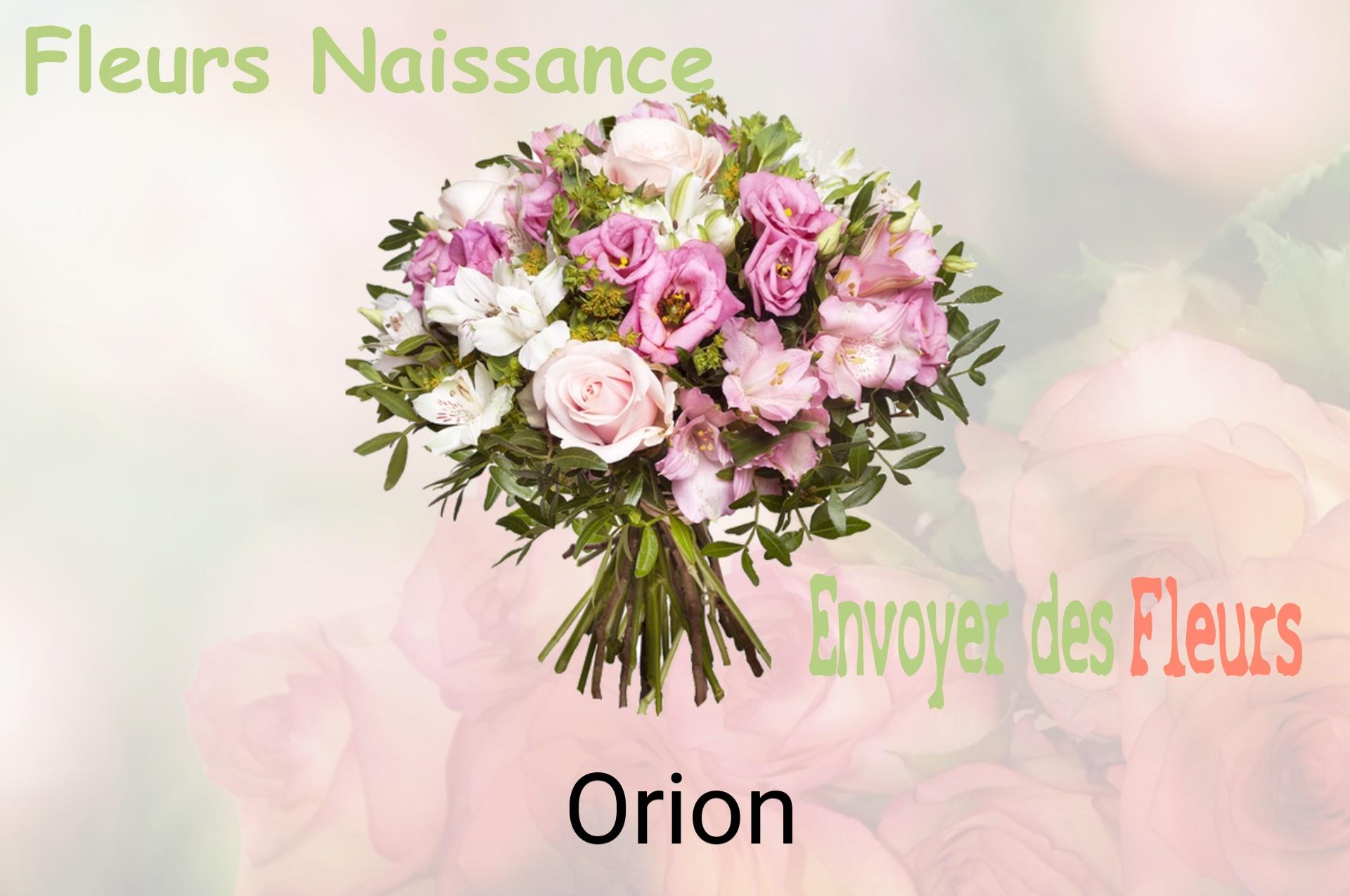 Bouquet de fleurs de naissance livré à Orion